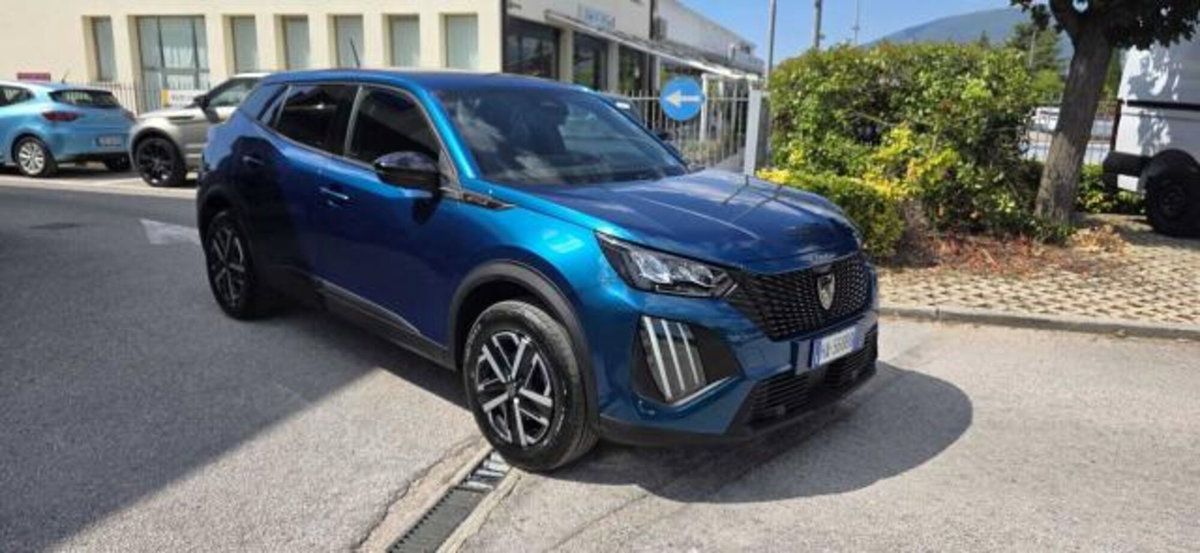 Peugeot 2008 1.2 puretech Active s&s 100cv (6)