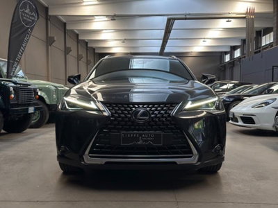 Lexus UX Hybrid 4WD Premium (2)