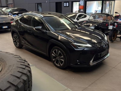 Lexus UX Hybrid 4WD Premium (3)
