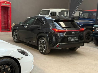 Lexus UX Hybrid 4WD Premium (6)