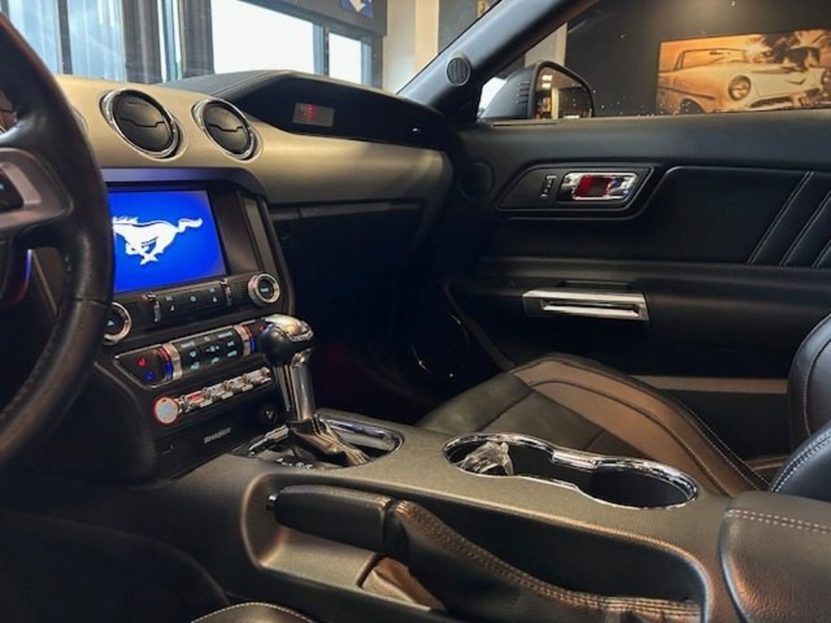 Ford Mustang Coupé Fastback 2.3 EcoBoost (10)