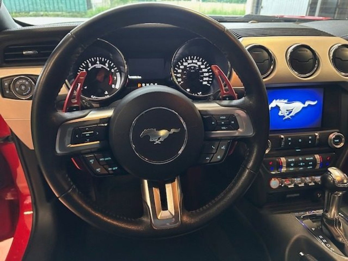 Ford Mustang Coupé Fastback 2.3 EcoBoost (11)