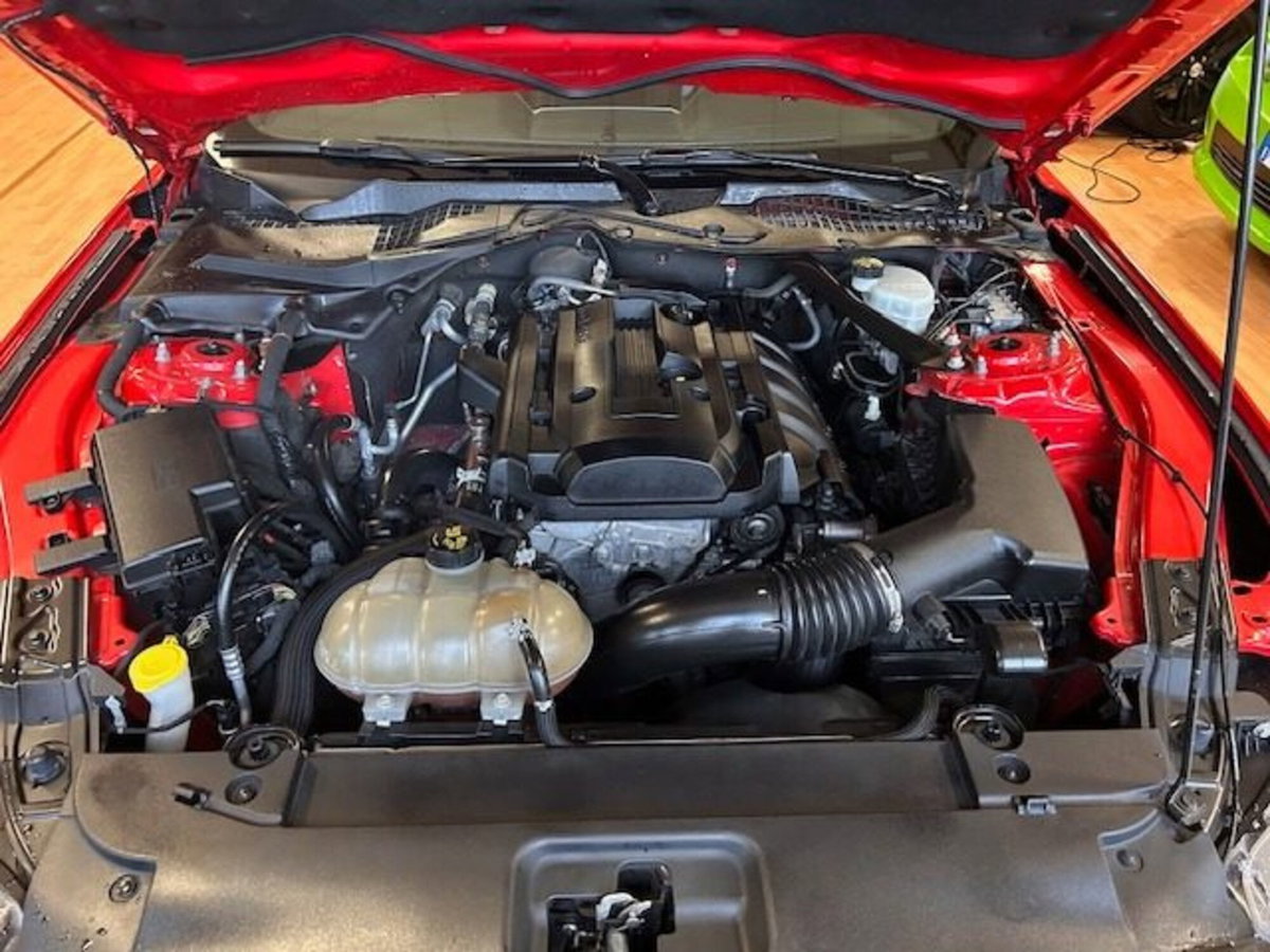 Ford Mustang Coupé Fastback 2.3 EcoBoost (16)