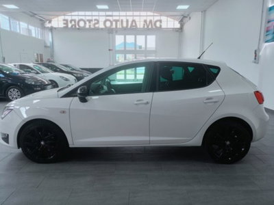SEAT Ibiza 1.4 TDI 105 CV CR S/S 5p. FR (8)