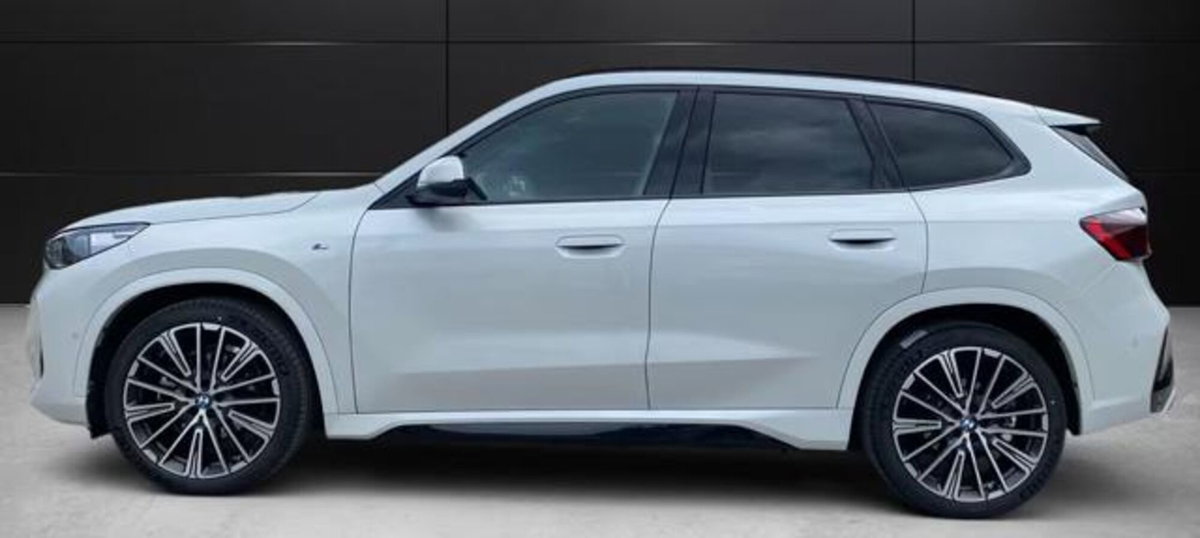 BMW X1 xDrive 23d Msport (2)