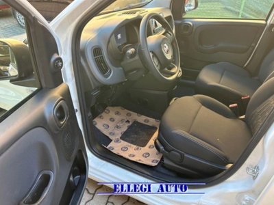 Fiat Panda 1.0 firefly hybrid s&s 70cv 5p.ti (7)