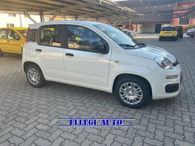 Fiat Panda 1.0 firefly hybrid s&s 70cv 5p.ti nuova