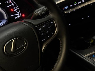 Lexus UX Hybrid 4WD Premium (20)
