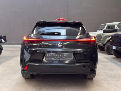 Lexus UX Hybrid 4WD Premium (5)