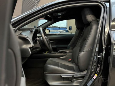 Lexus UX Hybrid 4WD Premium (8)