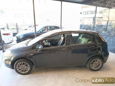 Fiat Punto Evo 1.2 5 porte S&S MyLife (5)