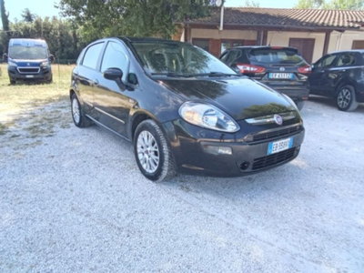 Fiat Punto Evo 1.3 Mjt 75 CV 5 porte Active usata