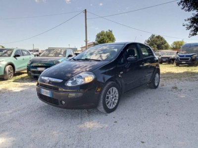 Fiat Punto Evo 1.3 Mjt 75 CV 5 porte Active (7)