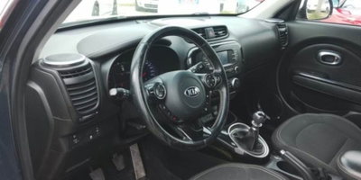 Kia Soul 1.6 EcoGPL You® (9)