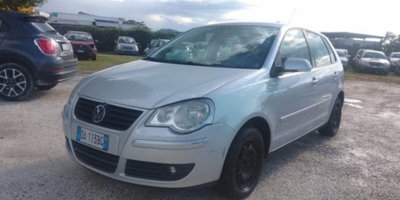 Volkswagen Polo 1.4 16V 5p. Comfortline (5)