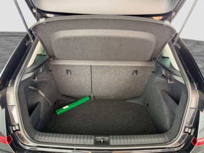 Skoda Kamiq 1.0 tsi Black Dots 115cv dsg (14)