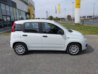 Fiat Panda 1.0 firefly hybrid s&s 70cv 5p.ti (2)
