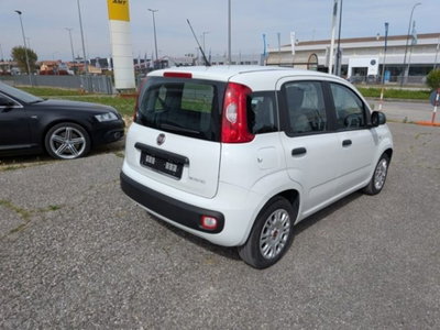 Fiat Panda 1.0 firefly hybrid s&s 70cv 5p.ti (4)