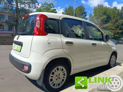Fiat Panda 1.2 EasyPower Easy (3)