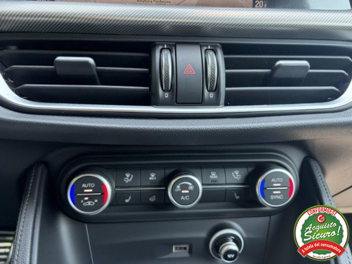 Alfa Romeo Stelvio Stelvio 2.2 Turbodiesel 210 CV AT8 Q4 Veloce (19)