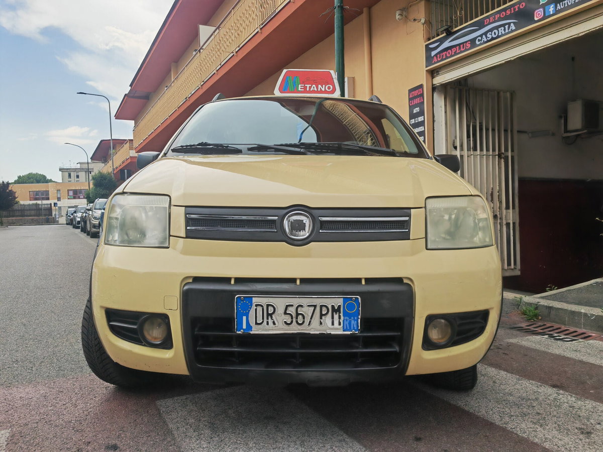 Fiat Panda 1.2 Climbing Natural Power