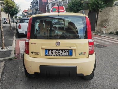 Fiat Panda 1.2 Climbing Natural Power (11)