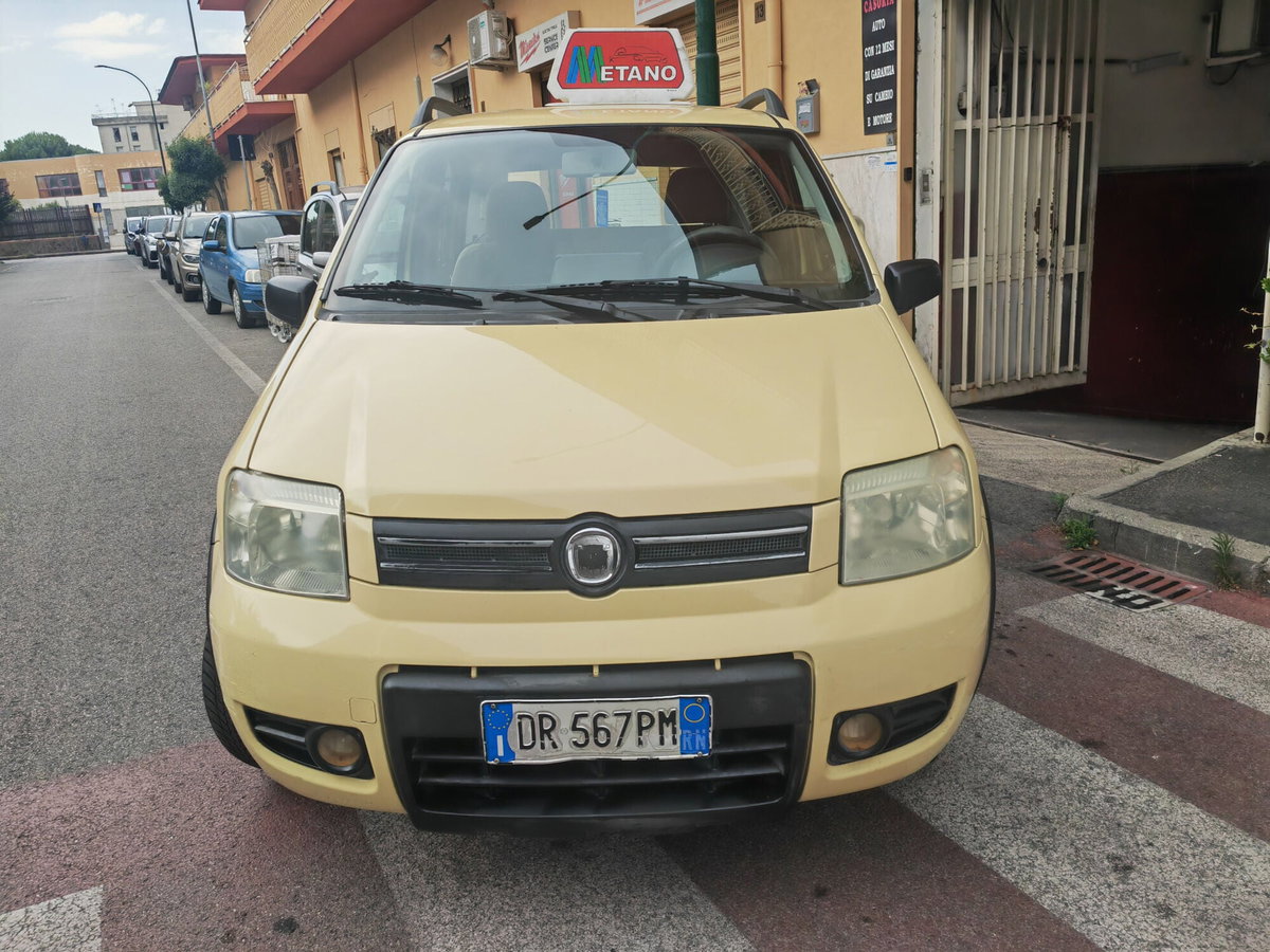 Fiat Panda 1.2 Climbing Natural Power (2)