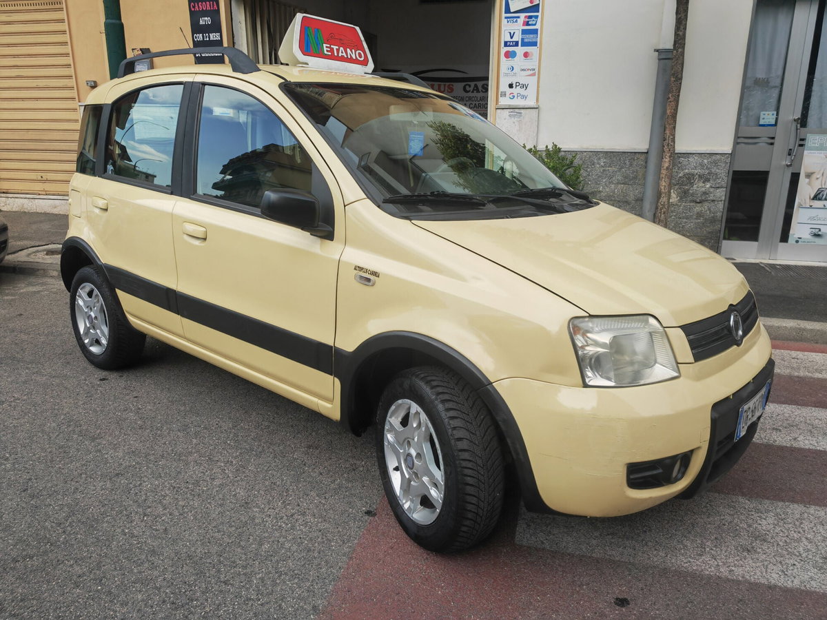 Fiat Panda 1.2 Climbing Natural Power (3)