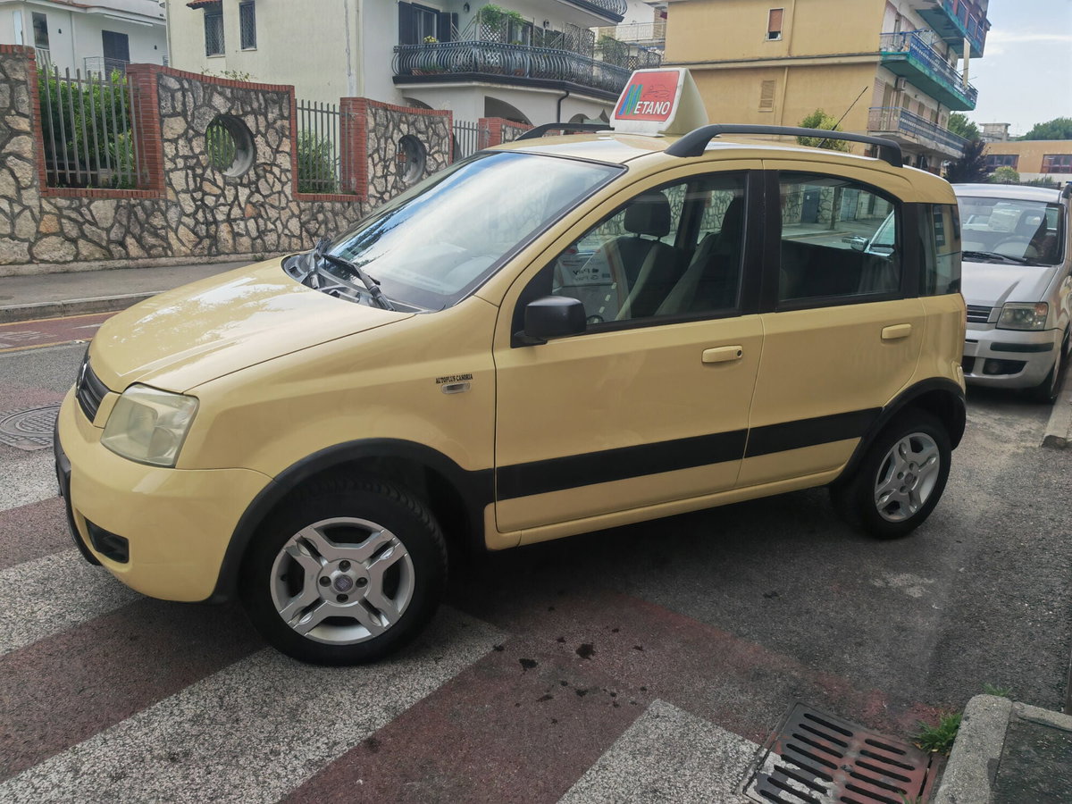 Fiat Panda 1.2 Climbing Natural Power (4)