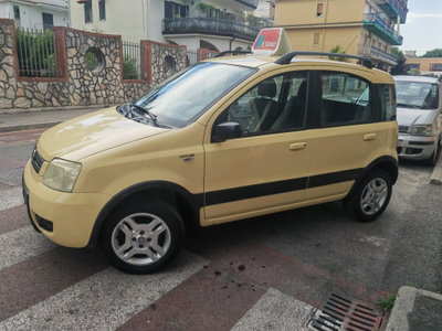 Fiat Panda 1.2 Climbing Natural Power (4)