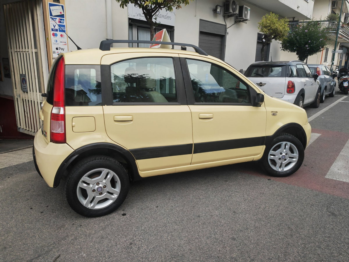 Fiat Panda 1.2 Climbing Natural Power (5)