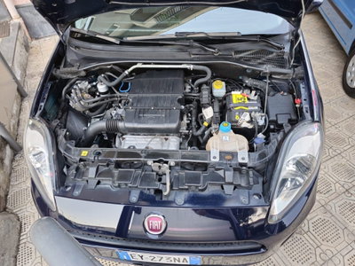 Fiat Punto 1.4 8V 5 porte Easypower Street (6)