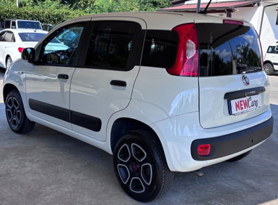 Fiat Panda 0.9 TwinAir Turbo S&S 4x4 Pop Van 2 posti (6)