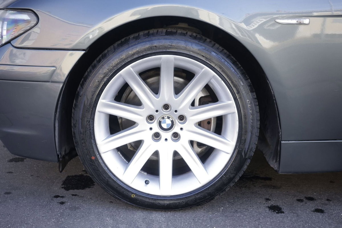 BMW Serie 7 745i cat (5)