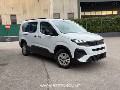 Peugeot Rifter mix 1.5 bluehdi 130cv Allure S&S (10)