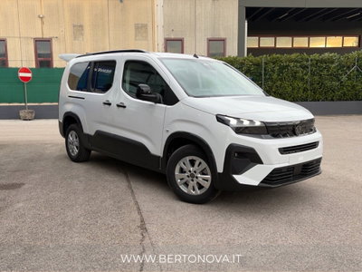 Peugeot Rifter mix 1.5 bluehdi 130cv Allure S&S (9)
