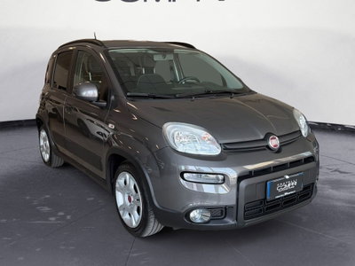 Fiat Panda Cross Cross 1.0 FireFly S&S Hybrid (2)