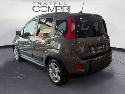 Fiat Panda Cross Cross 1.0 FireFly S&S Hybrid (3)