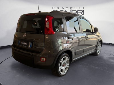Fiat Panda Cross Cross 1.0 FireFly S&S Hybrid (4)
