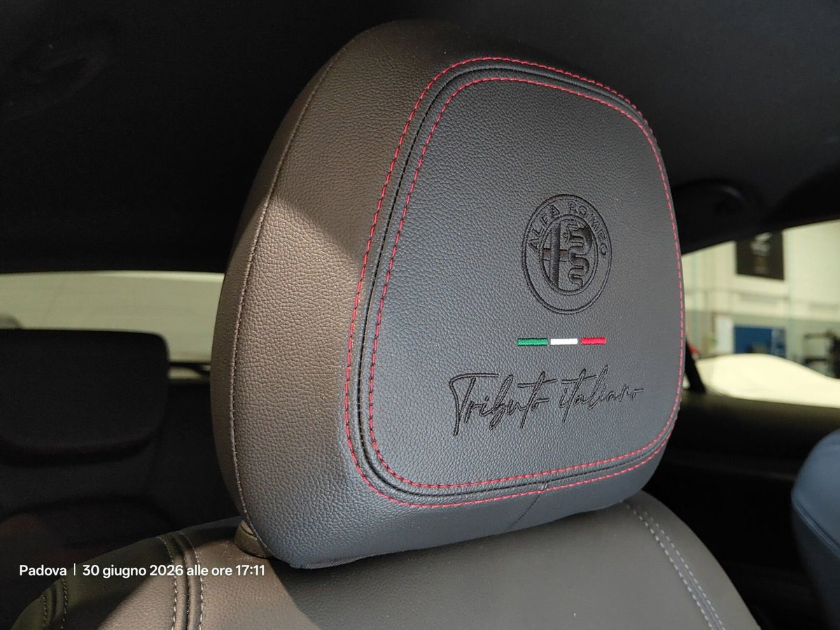 Alfa Romeo Stelvio 2.2 t Tributo Italiano Q4 210cv auto (7)