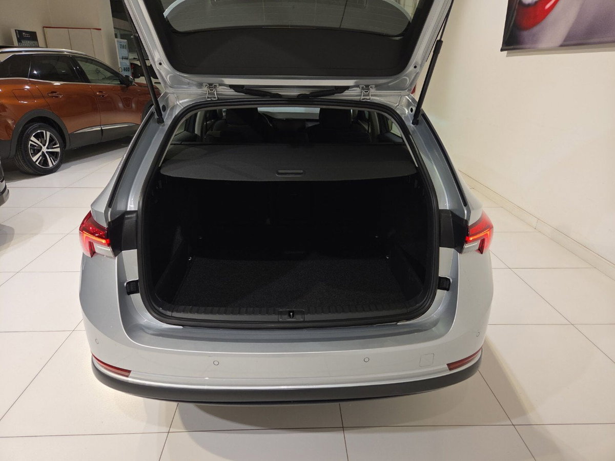 Skoda Octavia Station Wagon 2.0 tdi Executive 115cv (10)