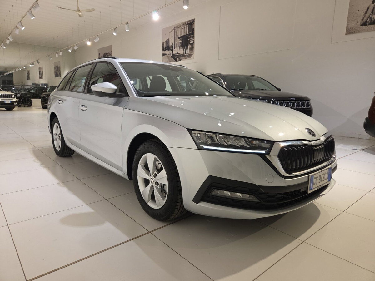 Skoda Octavia Station Wagon 2.0 tdi Executive 115cv (6)