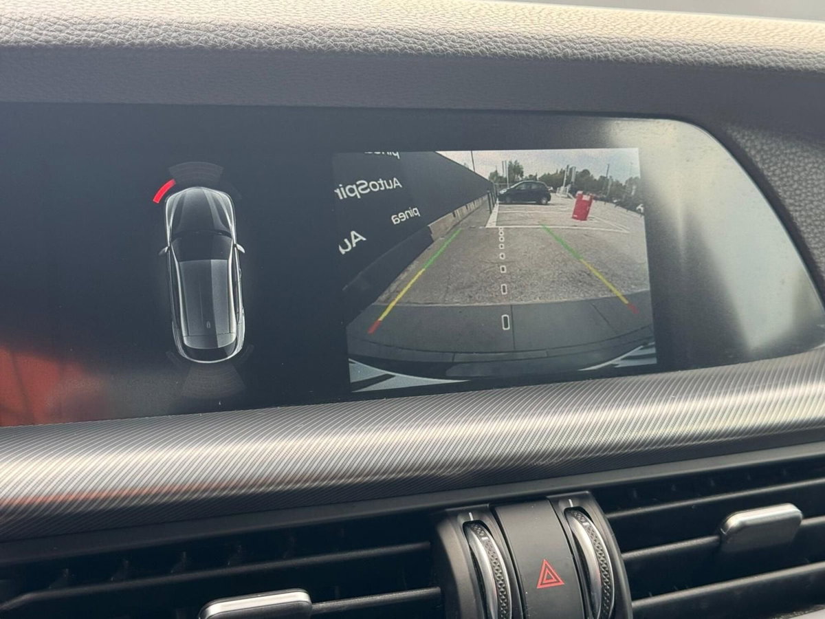 Alfa Romeo Stelvio Stelvio 2.2 Turbodiesel 210 CV AT8 Q4 Veloce (19)