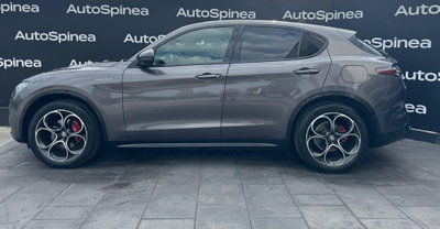 Alfa Romeo Stelvio Stelvio 2.2 Turbodiesel 210 CV AT8 Q4 Veloce (3)