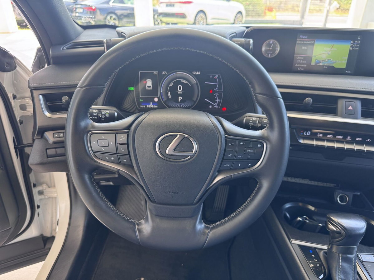 Lexus UX Hybrid 4WD Luxury (10)