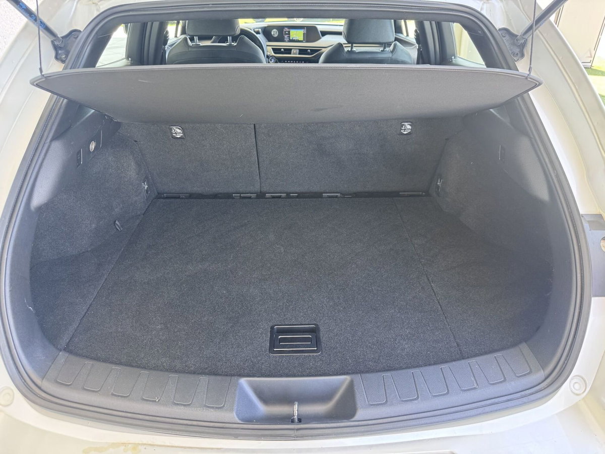 Lexus UX Hybrid 4WD Luxury (16)