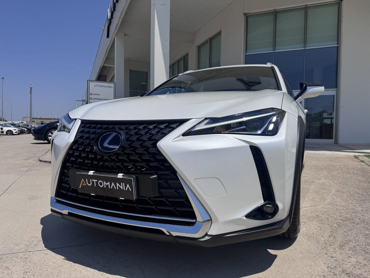 Lexus UX Hybrid 4WD Luxury (18)