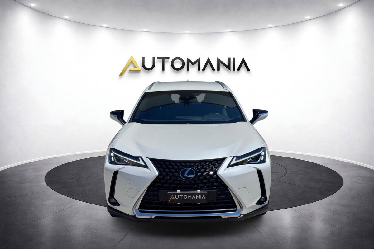 Lexus UX Hybrid 4WD Luxury (2)