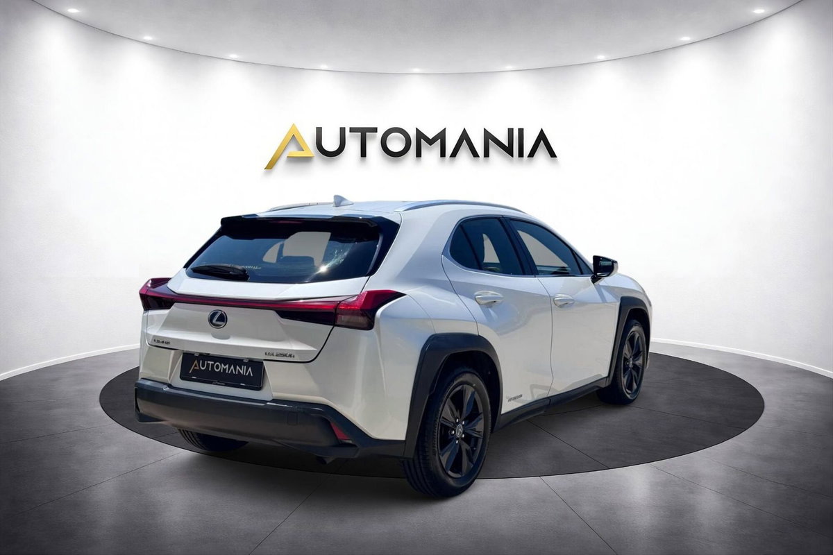 Lexus UX Hybrid 4WD Luxury (5)