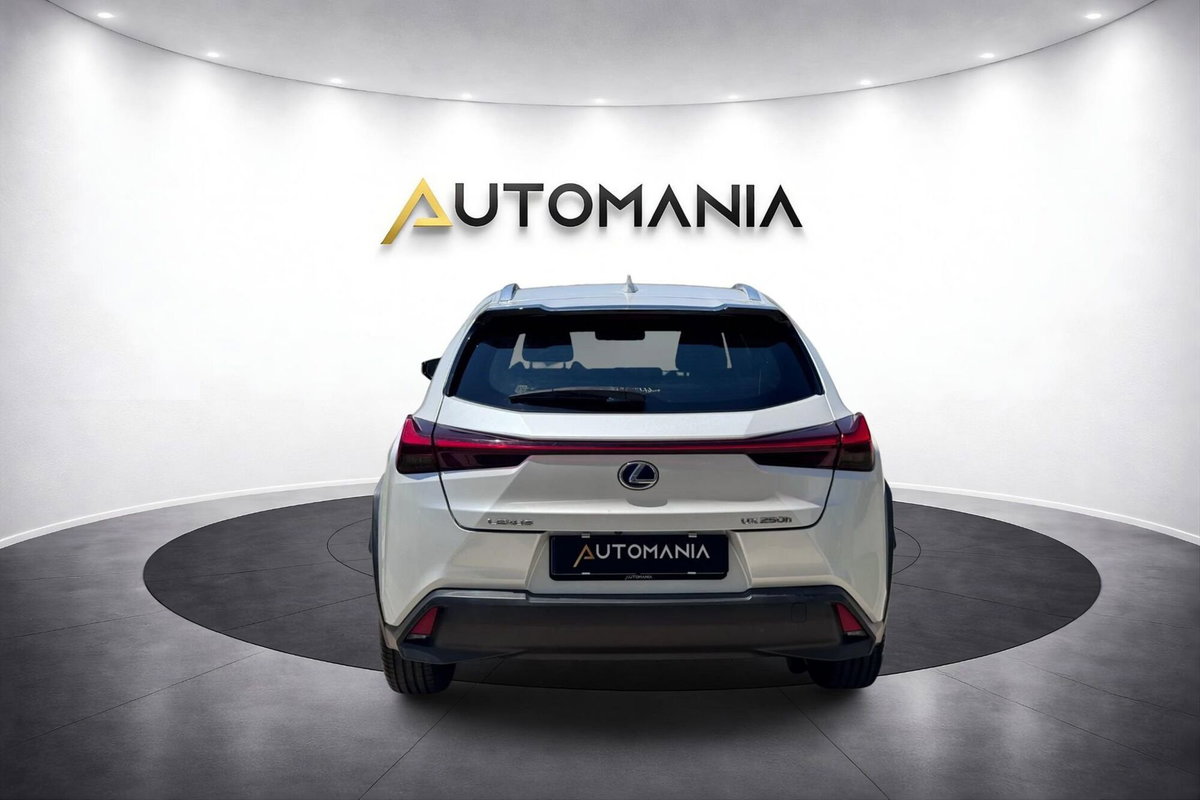 Lexus UX Hybrid 4WD Luxury (6)